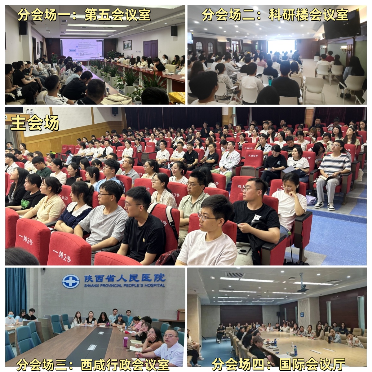 五会场联动